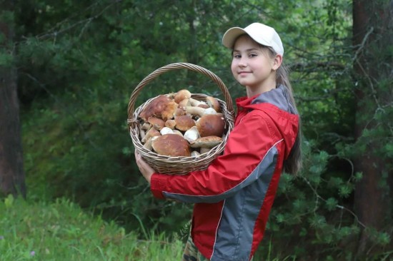 Шляпки долой. Куда идти на тихую охоту и как не промахнуться с выбором «добычи»