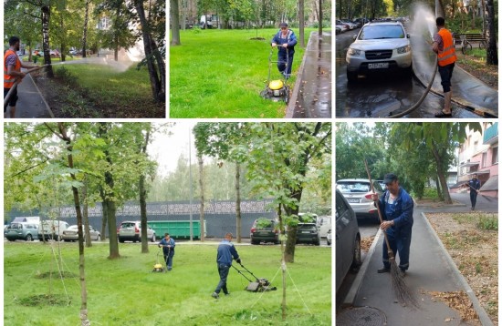 В Ломоносовском районе осуществляется стрижка газонов и уборка территории