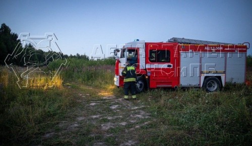 Вывели потерявшихся людей из леса