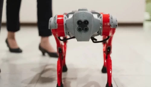 Юных жителей ЮЗАО познакомят с азами  робототехники на площадках акции «Первоклассный сентябрь»