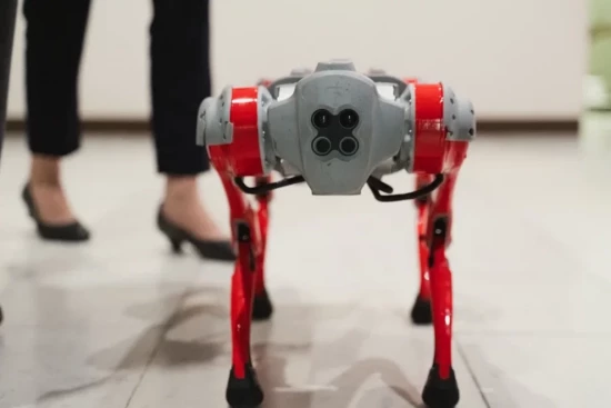 Юных жителей ЮЗАО познакомят с азами  робототехники на площадках акции «Первоклассный сентябрь»