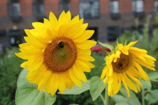 Жителей ЮЗАО ждет потепление к концу недели