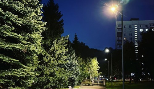 На территории Института Пушкина установили современное освещение