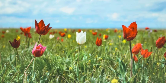 В Зюзине откроют выставки с пейзажами столицы