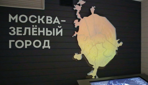 Экоцентр «Лесная сказка» проведет лекцию «История московских парков» ко Дню города 9 сентября 