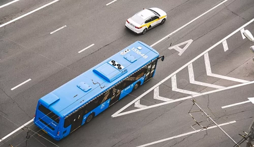 Новые автобусы вышли на маршрут с17, проходящий через Ломоносовский район