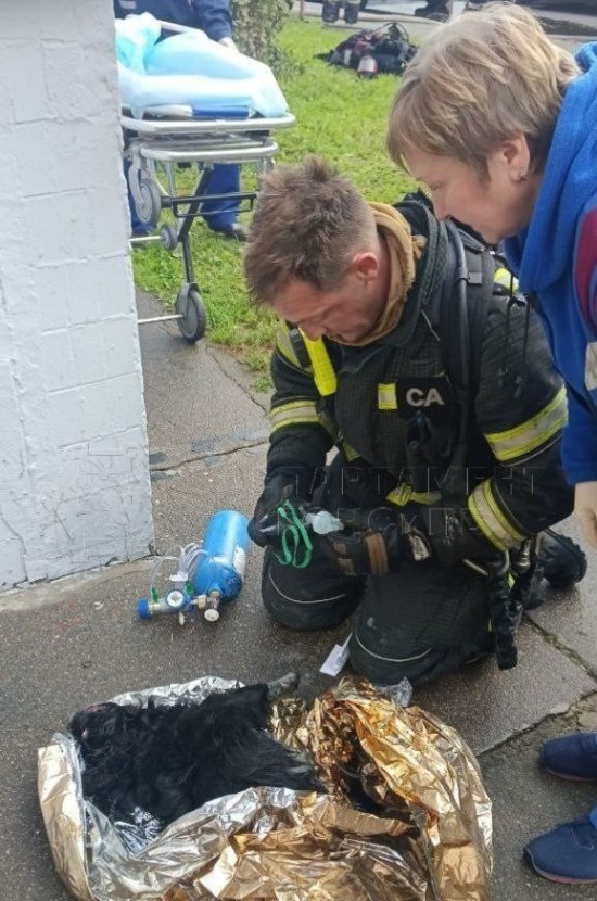 Огнеборцы спасли на пожаре людей и собаку