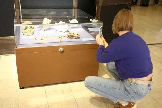 В Дарвиновском музее откроют выставку «Размер имеет значение»