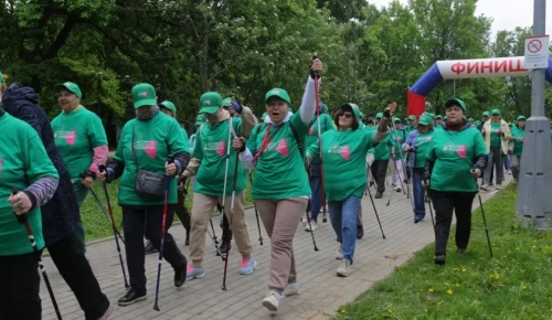 Соревнования по скандинавской ходьбе устроят в ЮЗАО к Дню пожилого человека