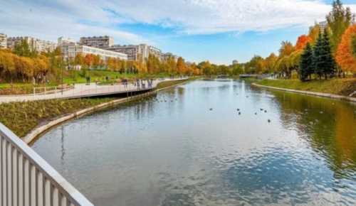 Парк в пойме реки Битцы участвует в голосовании на лучшее место для осенних фотоссесий в «Активном гражданине» 
