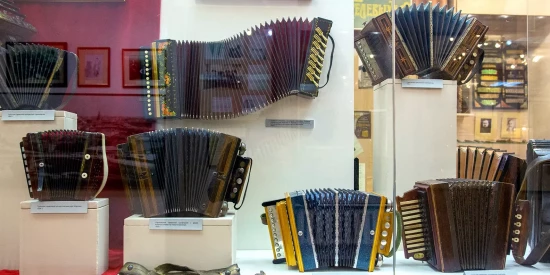 Полицейские из Ломоносовского района задержали мошенника, укравшего аккордеон