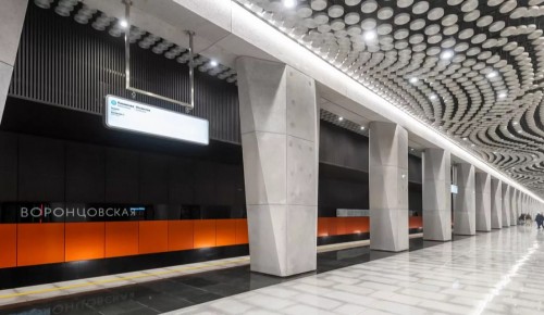 На станциях метро «Калужская» и «Воронцовская» в вечерние часы пик в будни ограничили вход