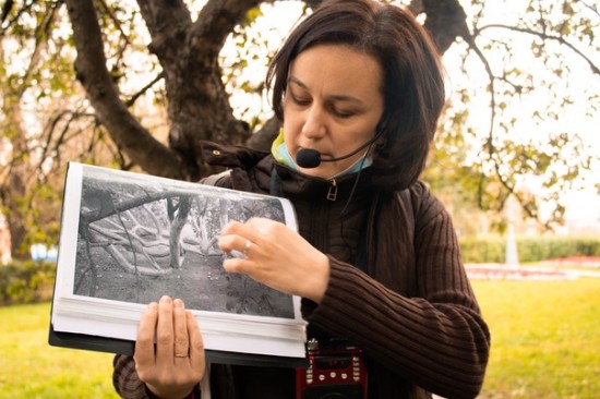 В Воронцовском парке 7 октября организуют экскурсию «Колыбельная для природы»