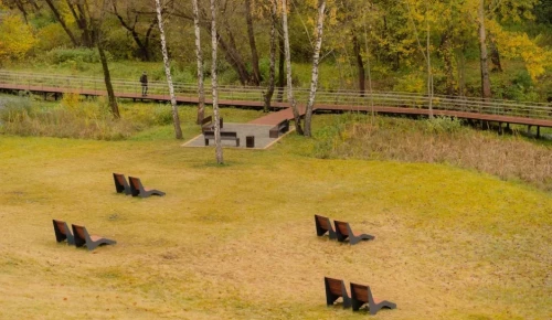 В выходные на юго-западе Москвы будет тепло, но ветрено