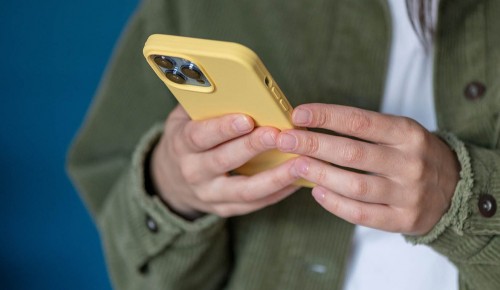 Полицейские из Котловки задержали курьера, похитившего деньги за заказ