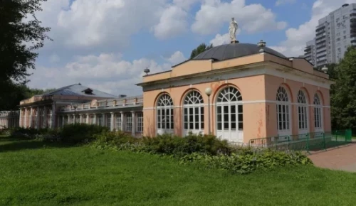 Направление «Здоровый мозг» стартовало для долголетов в Воронцовском парке