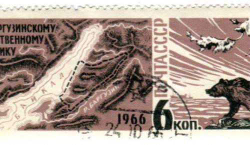 Дарвиновский музей показал онлайн-коллекцию марок с изображением флоры и фауны СССР 
