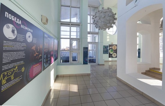 В Дарвиновском музее открыли выставку «Мир вирусов»