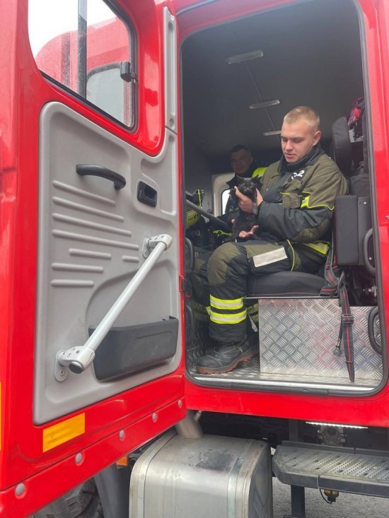 История со счастливым концом: московские пожарные выходили сбитого машиной котенка
