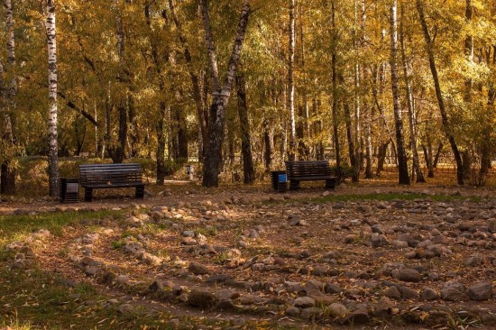 В Воронцовском парке 28 октября пройдет бесплатная экскурсия «Колыбельная для природы»