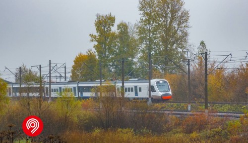 На экспериментальном кольце в Щербинке проходит испытания поезд «Иволга 4.0» 