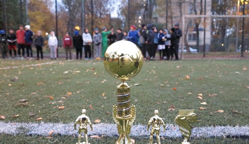 В Котловке прошел турнир по футболу, посвященный Дню тренера
