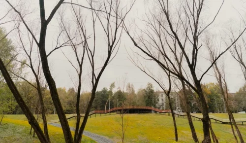 Небольшой дождь ожидается на юго-западе Москвы в выходные