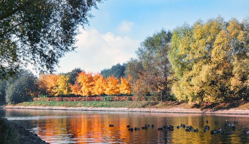 Главархив представил онлайн-выставку об осенних парках