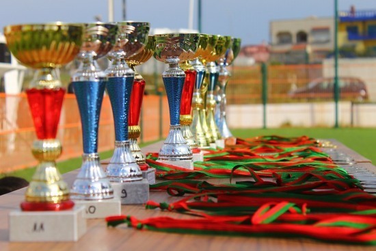 Ученики школы №625 приняли участие в Кубке Кунцево по греко-римской борьбе