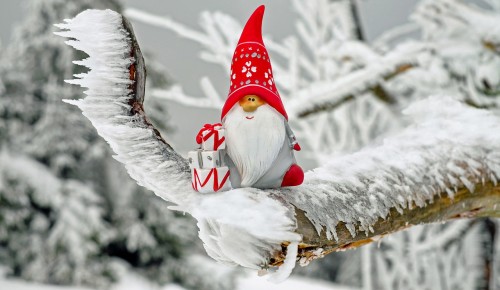 В РУДН стартовала благотворительная акция «Стань Дедом Морозом»