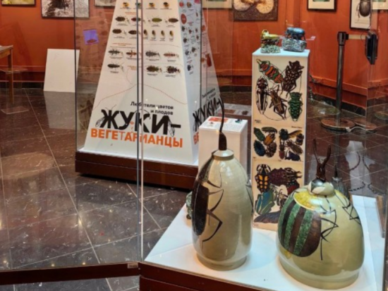 В Дарвиновском музее 28 ноября откроется выставка «Жуки»