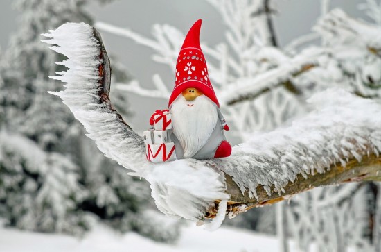 В РУДН стартовала благотворительная акция «Стань Дедом Морозом»