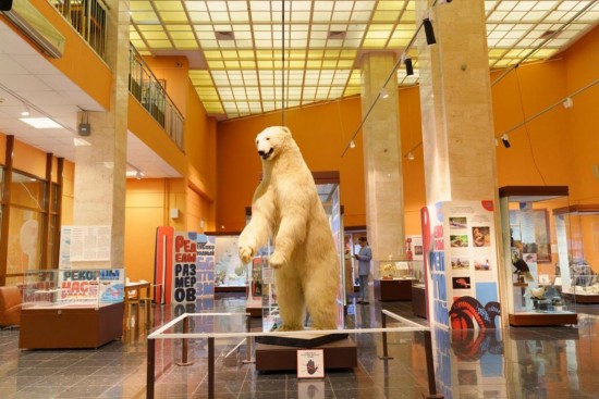 В Дарвиновском музее представят выставку к 150-летию открытия архипелага Земля Франца-Иосифа