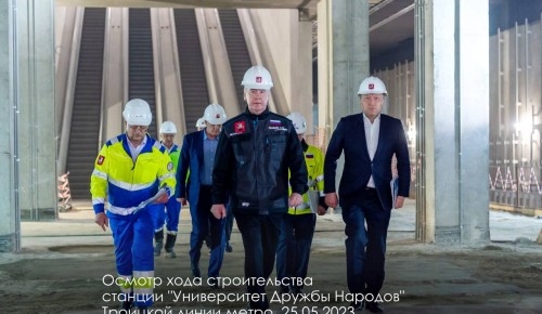 Собянин: На станции «Университет дружбы народов» установили мозаичное панно
