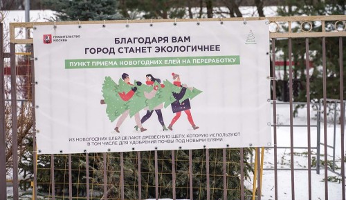 Жители Ясенева могут проголосовать за пункты приема новогодних елок