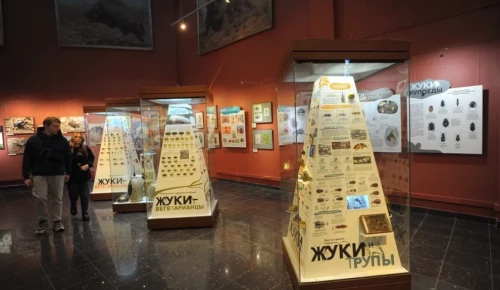 В рамках «Московской музейной недели» можно будет бесплатно посетить Дарвиновский музей