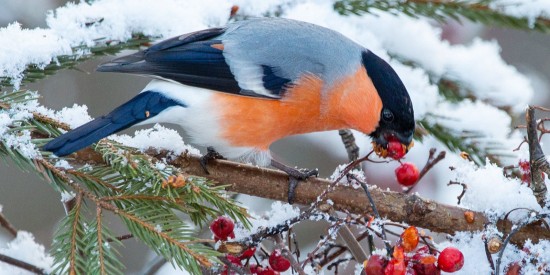 Экскурсии по Теплому Стану пройдет в декабре в рамках проекта «Гуляем по Москве»