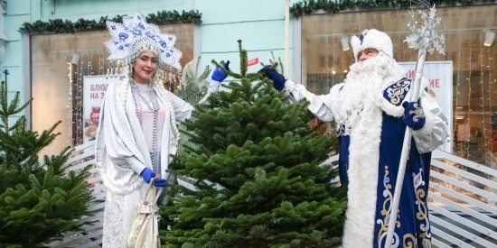 Жителям Черемушек предлагают выбрать пункты приема новогодних елок