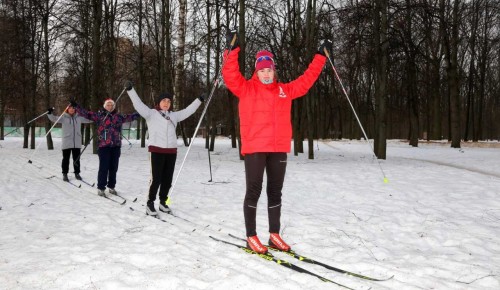 Три маршрута для катания на лыжах подготовили в Воронцовском парке