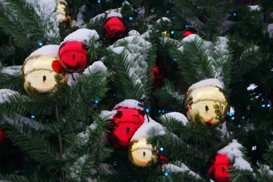 В Битцевском лесу организуют мероприятия, посвященные главному новогоднему дереву