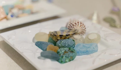 Выставка «Немного моря в осколках стекла» в Дарвиновском музее