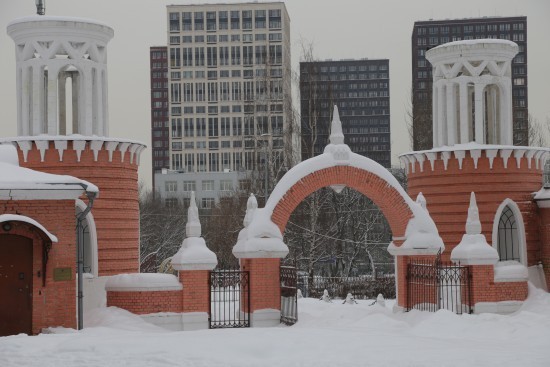 В Воронцовском парке открыли каток с натуральным льдом