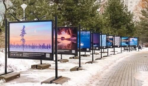 В Воронцовском парке открылась фотовыставка участников сообщества «Nature Photo Team»