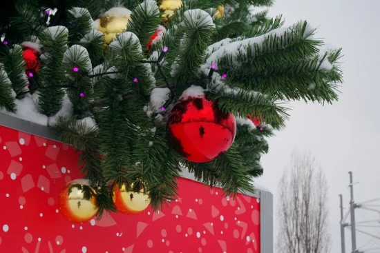 Центр московского долголетия «Гагаринский» приглашает на новогодний карнавал