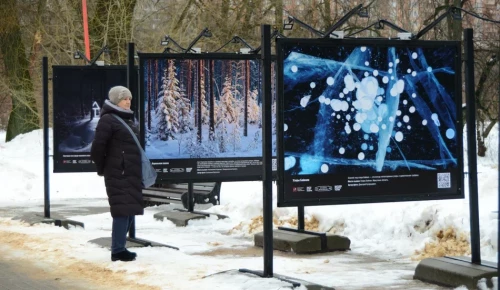 Зимняя фотовыставка в Воронцовском парке