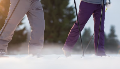 Жители Ясенева 24 декабря могут принять участие в лыжной гонке от спортивного клуба «Альфа-Битца»
