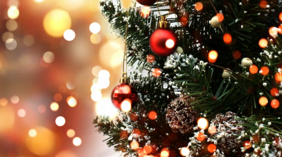 Жителей Южного Бутова приглашают на новогодний праздник 23 декабря 