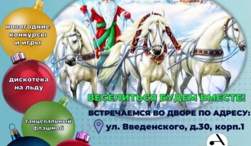 В Конькове 23 декабря организуют новогоднюю развлекательную программу «Три белых коня»