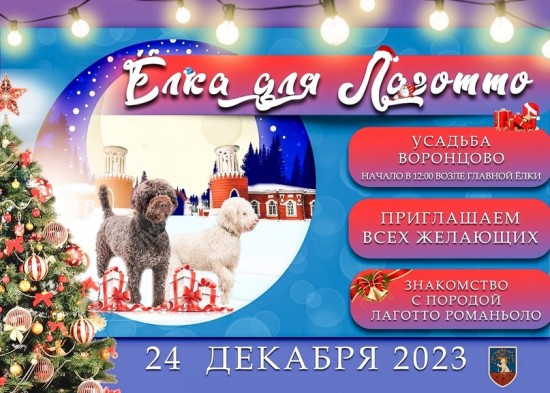 В Воронцовской усадьбе 24 декабря проведут «Елку для Лаготто»