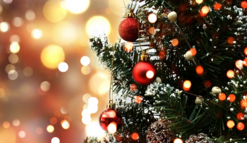 В Северном Бутове состоится программа «Новогодняя елка» 28 декабря 